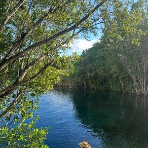 Meet your Posher, Rory